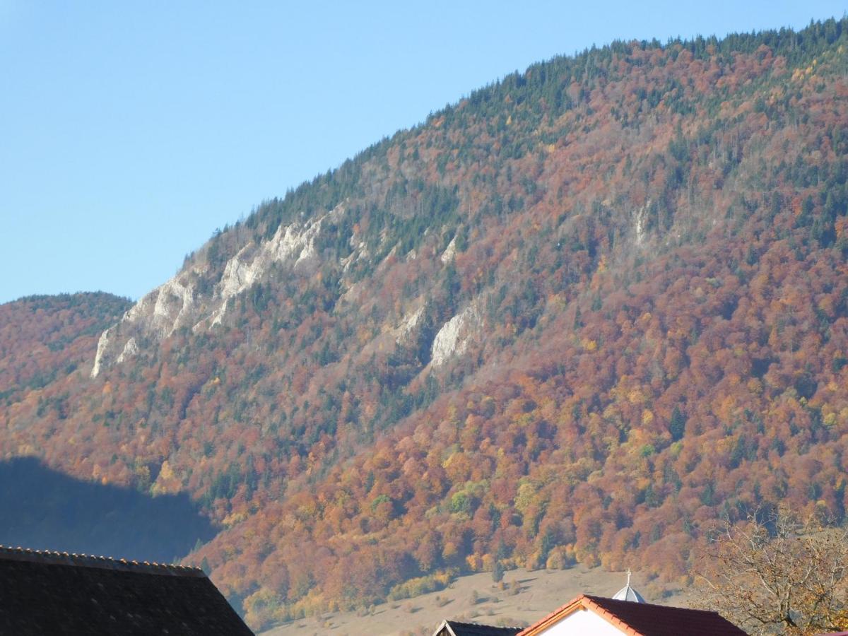 Zărneşti Mountain Vista Suites المظهر الخارجي الصورة