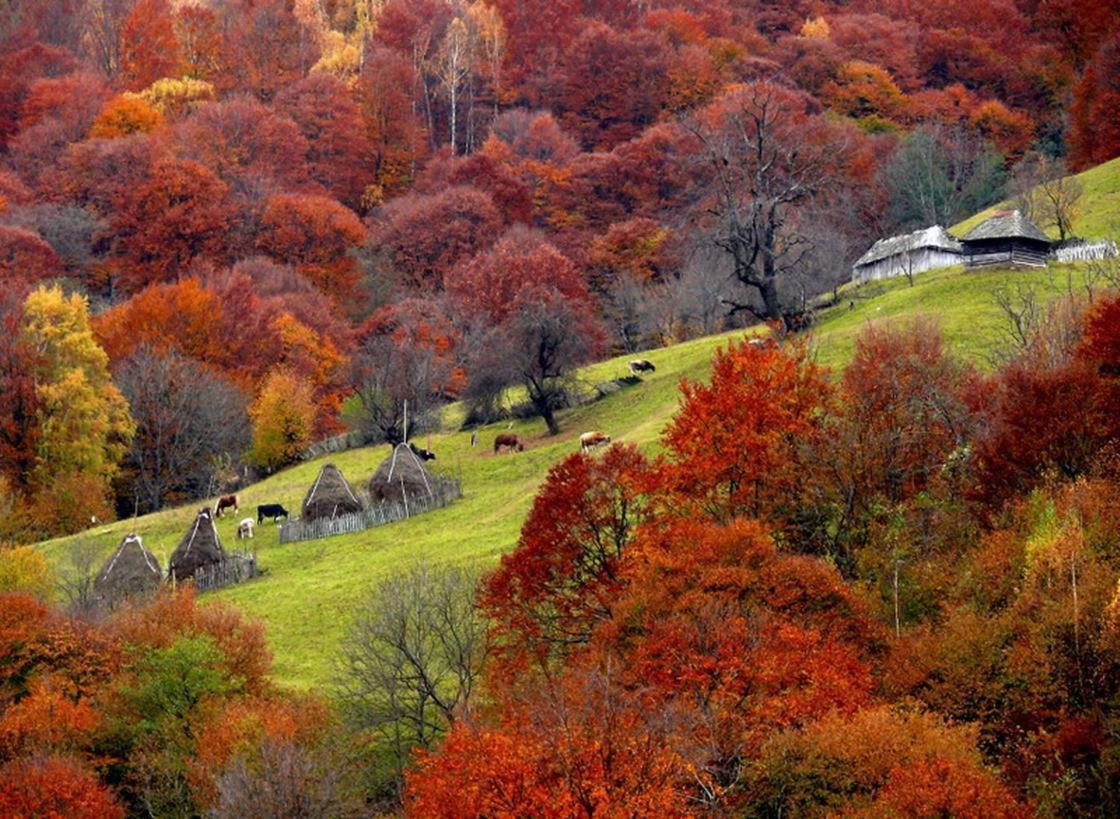 Zărneşti Mountain Vista Suites المظهر الخارجي الصورة