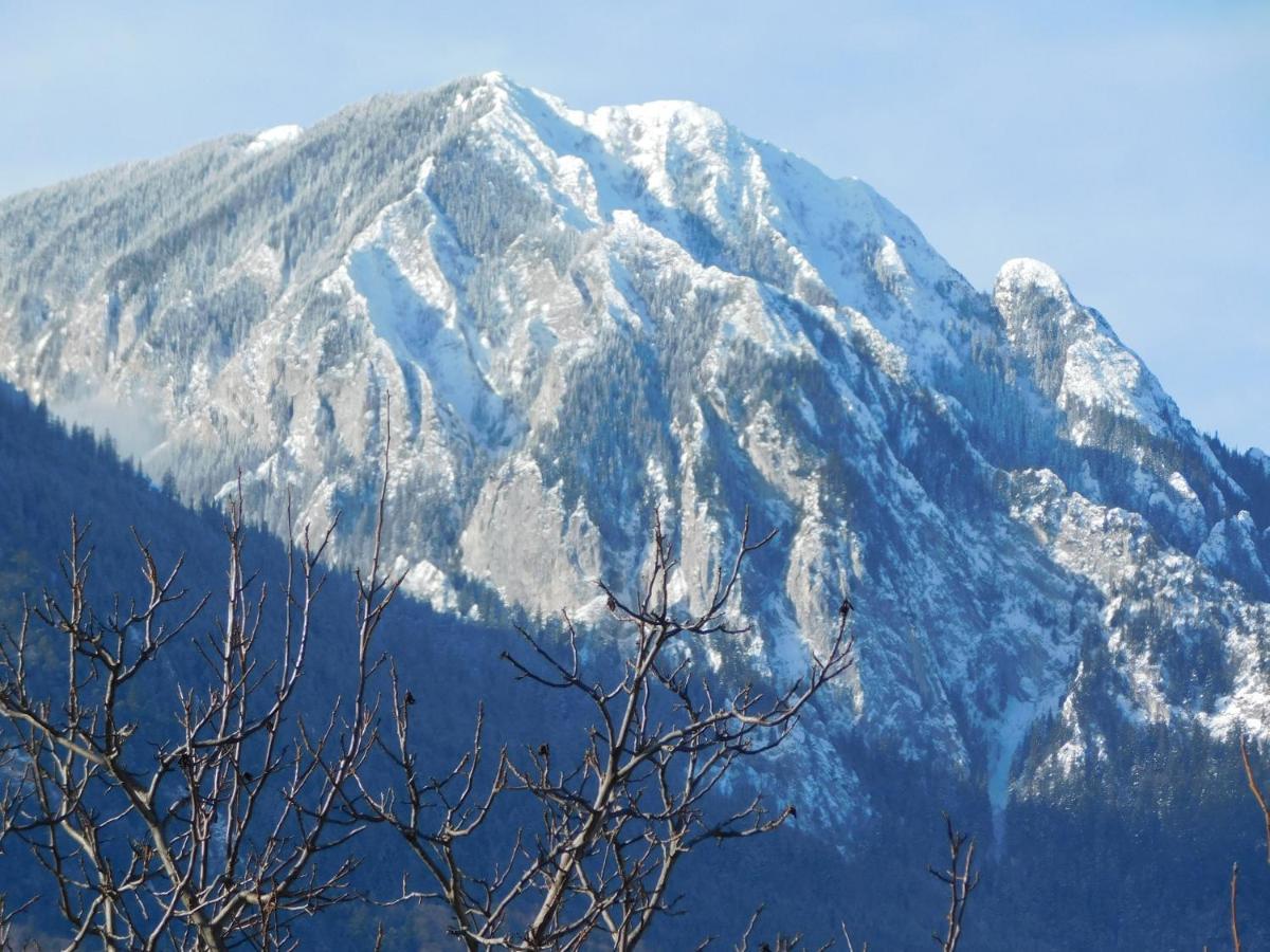 Zărneşti Mountain Vista Suites المظهر الخارجي الصورة