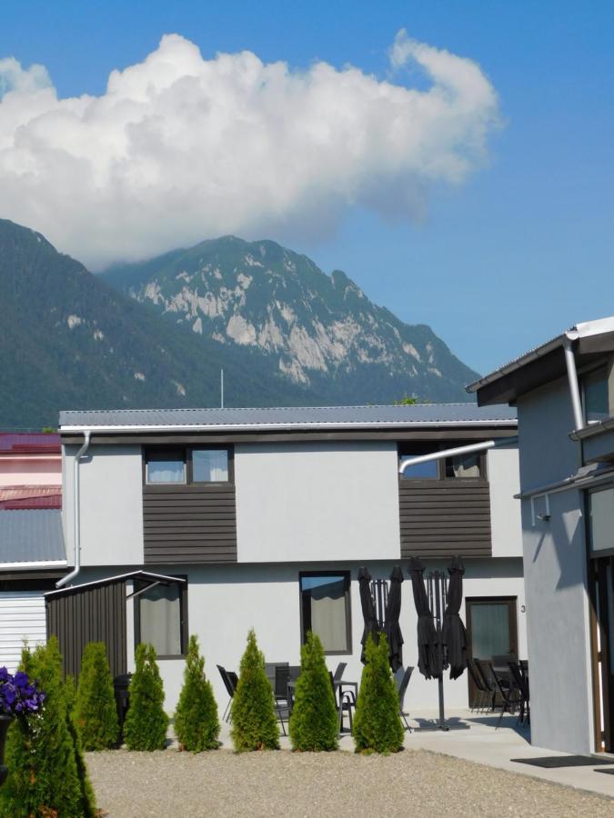 Zărneşti Mountain Vista Suites المظهر الخارجي الصورة