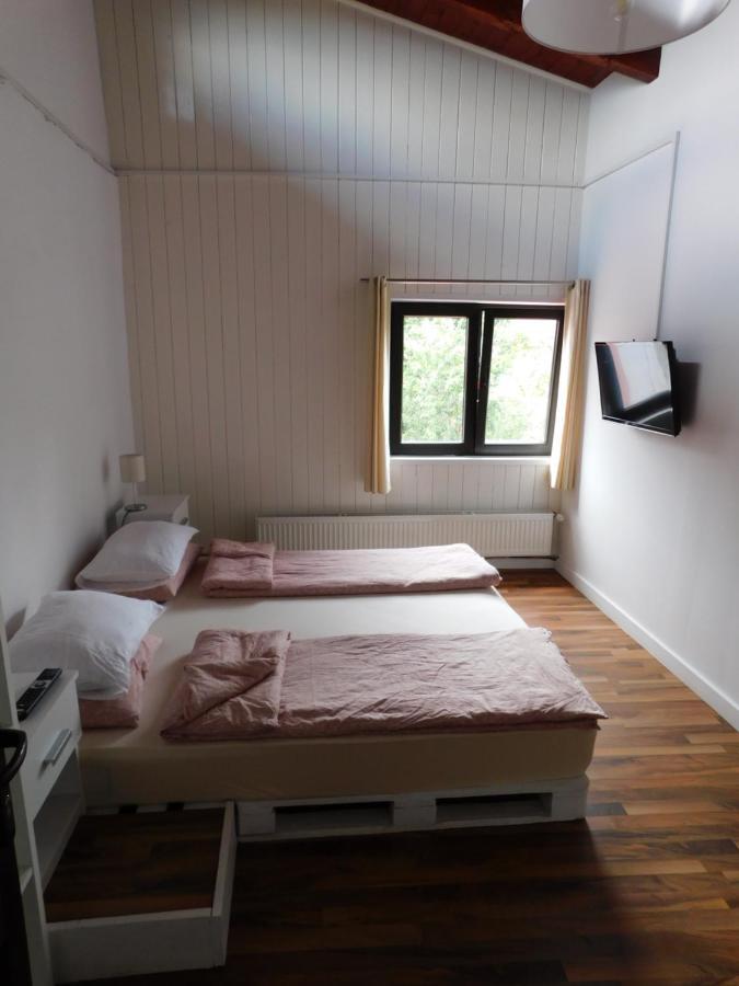 Zărneşti Mountain Vista Suites المظهر الخارجي الصورة